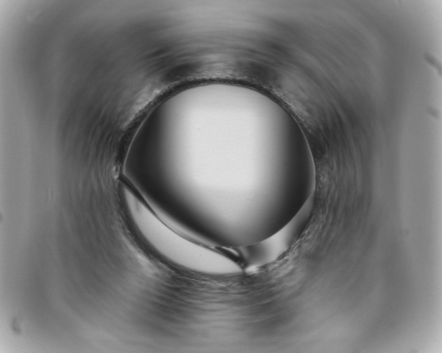 X0000096480160200802071928