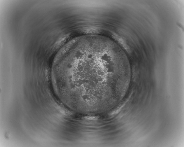 X0000096480161200802071928