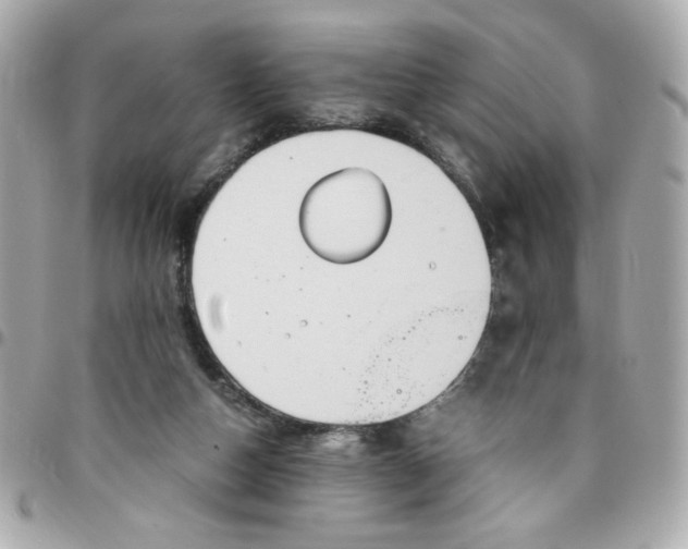 X0000096480162200802071928