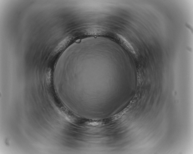 X0000096480163200802071928