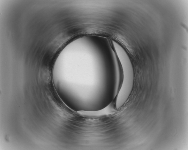 X0000096480164200802071928