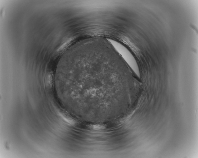 X0000096480165200802071928