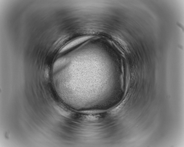 X0000096480166200802071928