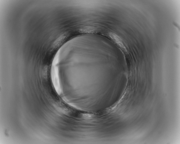 X0000096480167200802071928