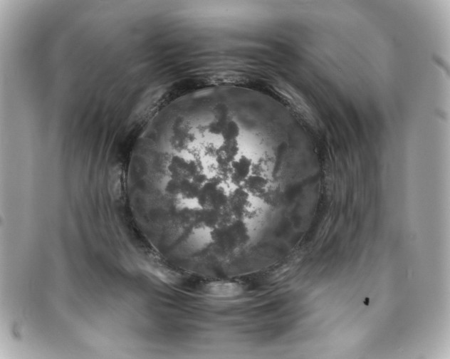 X0000096480169200802071928