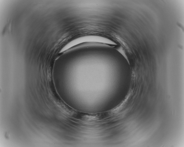 X0000096480170200802071928