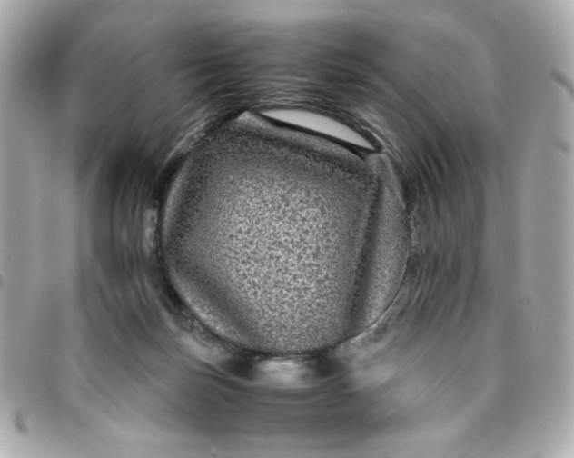 X0000096480171200802071928