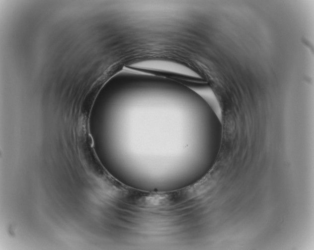 X0000096480172200802071928