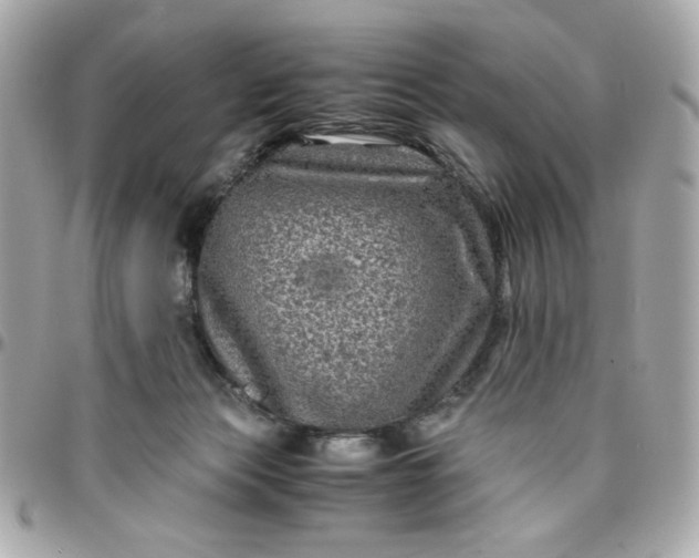 X0000096480173200802071928