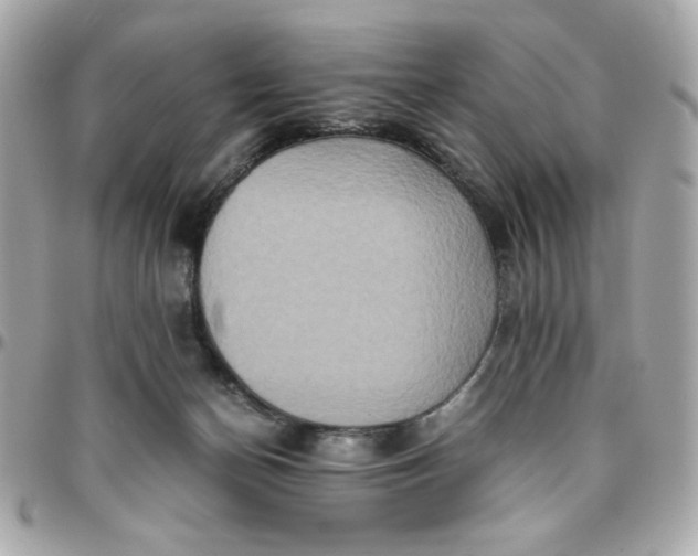 X0000096480174200802071928