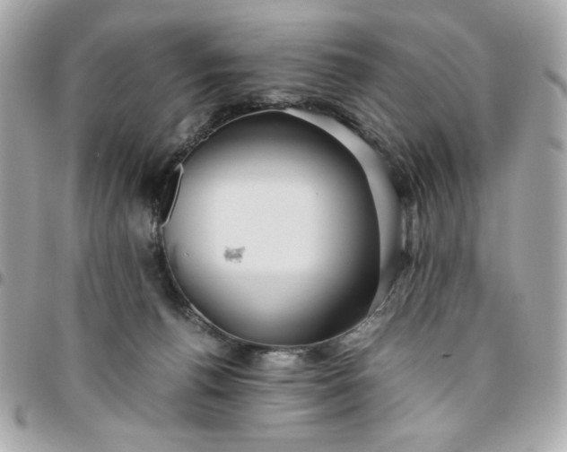 X0000096480176200802071928