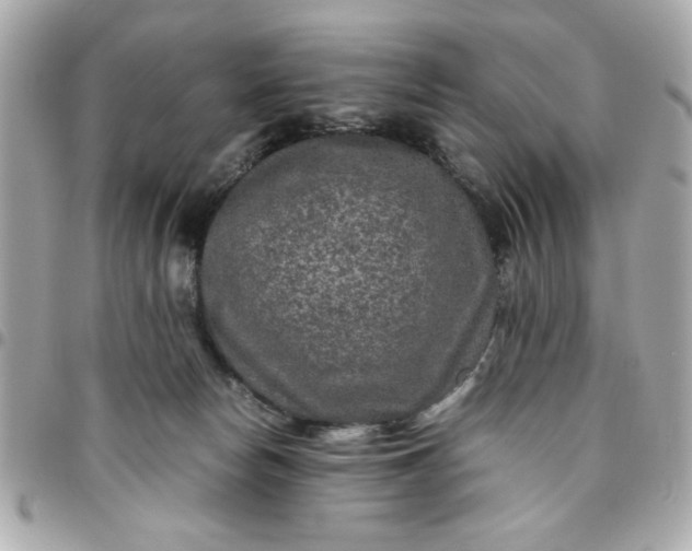 X0000096480178200802071928