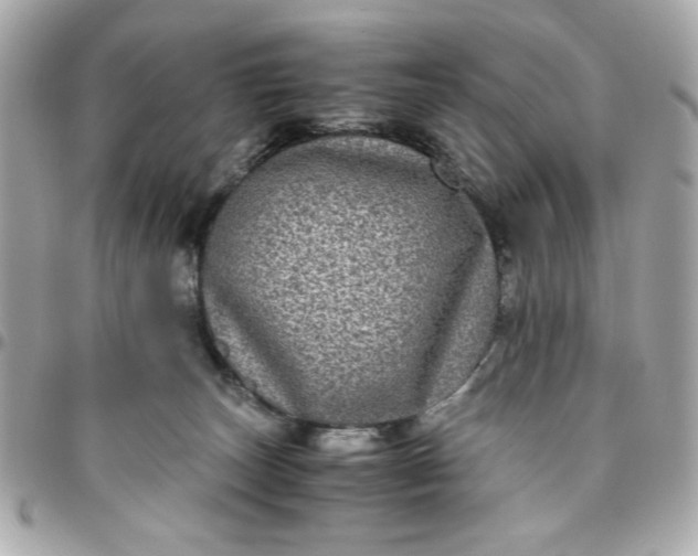 X0000096480179200802071928