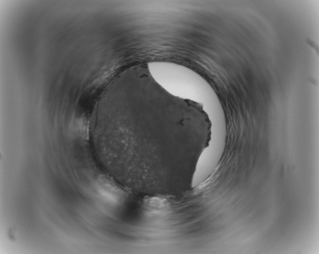 X0000096480180200802071928