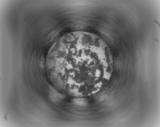 X0000096480181200802071928