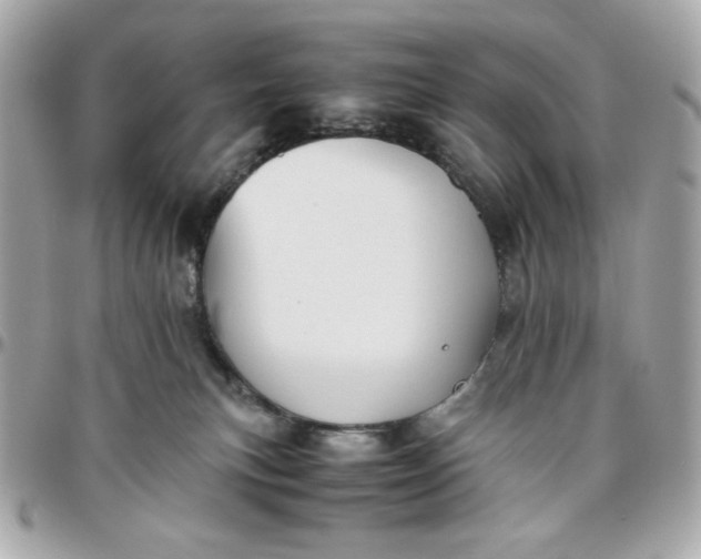 X0000096480183200802071928