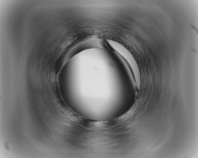 X0000096480184200802071928