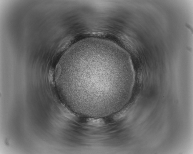 X0000096480185200802071928