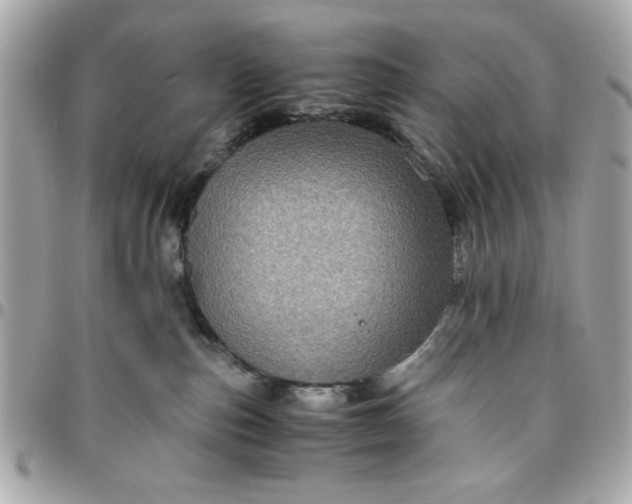 X0000096480187200802071928