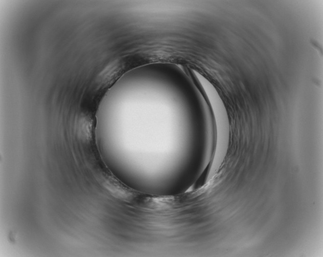 X0000096480188200802071928