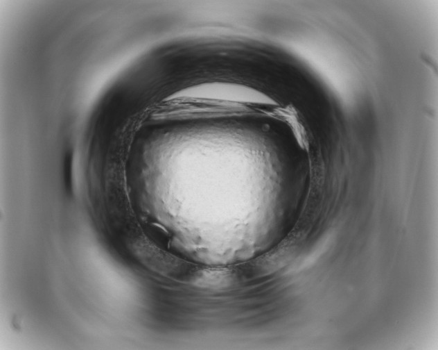 X0000096480189200802071928