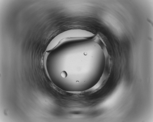 X0000096480190200802071928