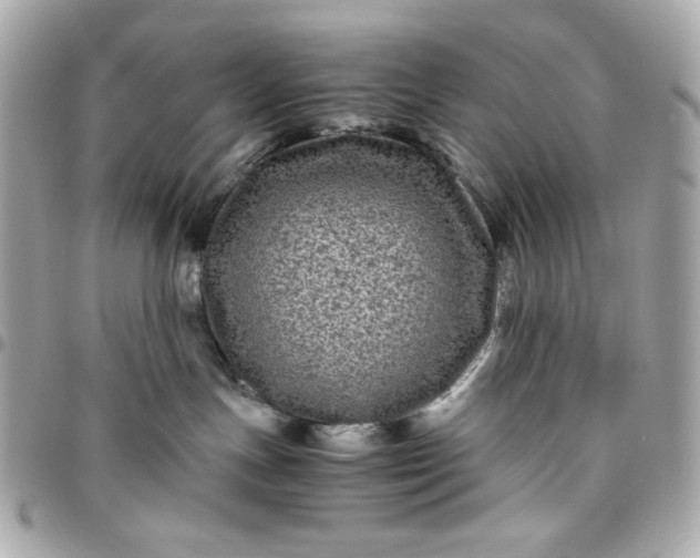 X0000096480191200802071928