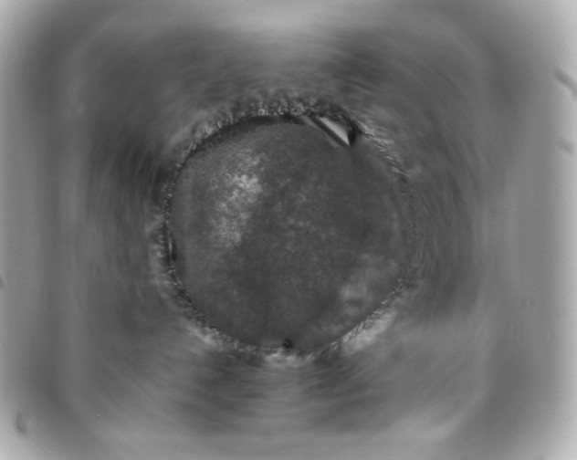 X0000096480192200802071928