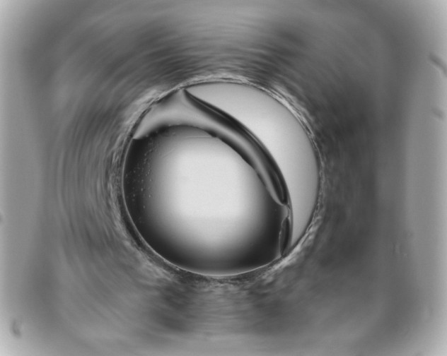 X0000096480193200802071928