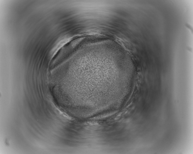 X0000096480194200802071928