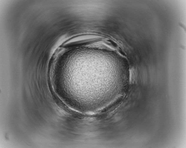 X0000096480195200802071928