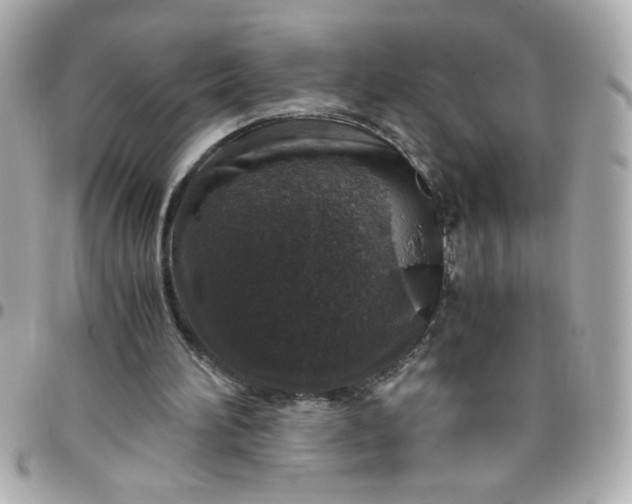 X0000096480196200802071927