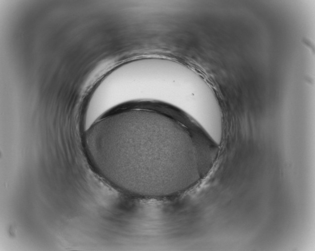 X0000096480197200802071927