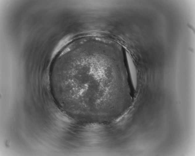 X0000096480198200802071927