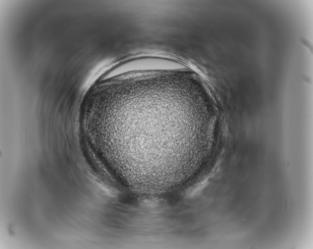 X0000096480199200802071927