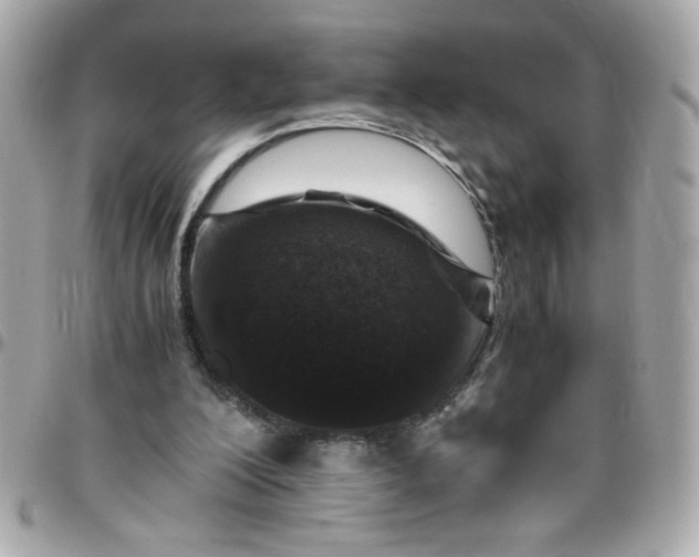 X0000096480200200802071927