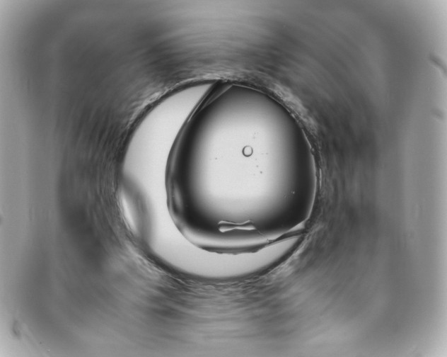 X0000096480201200802071927