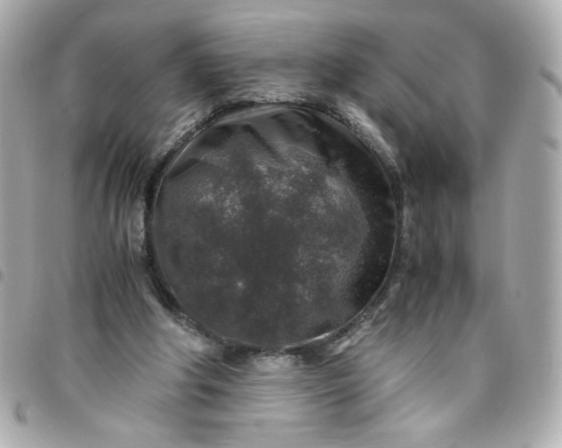 X0000096480202200802071927