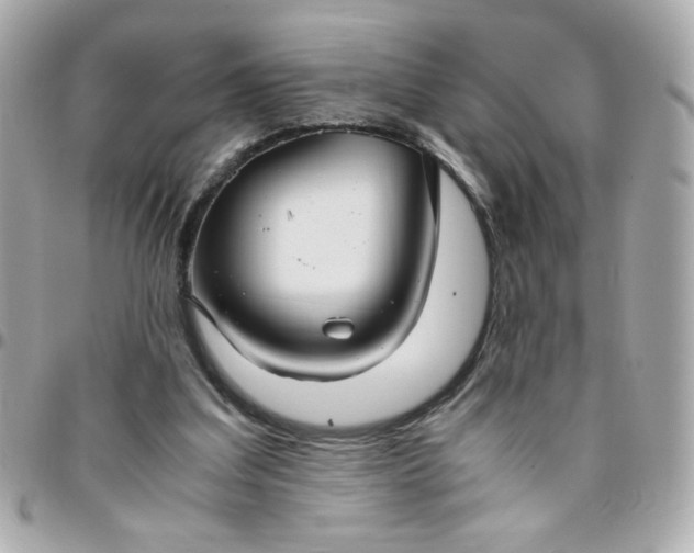 X0000096480203200802071927