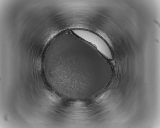 X0000096480204200802071927