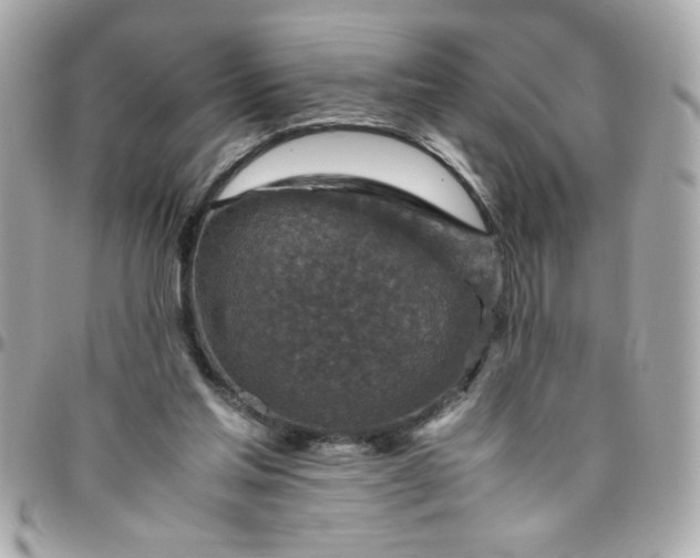 X0000096480205200802071927