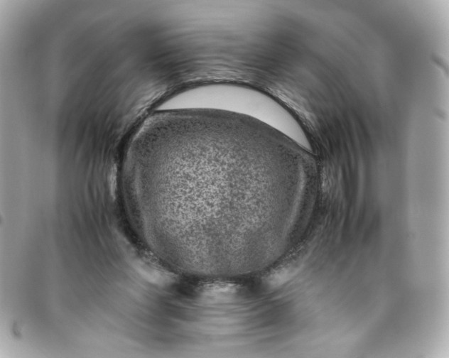 X0000096480206200802071927