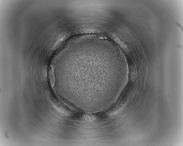 X0000096480207200802071927