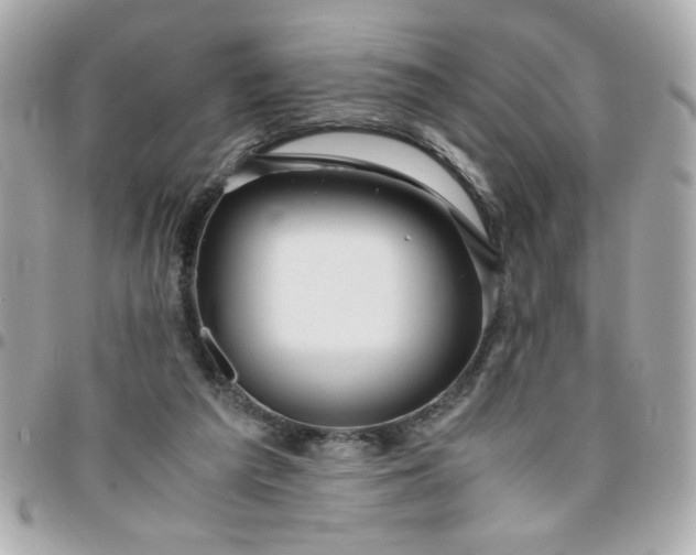 X0000096480209200802071927