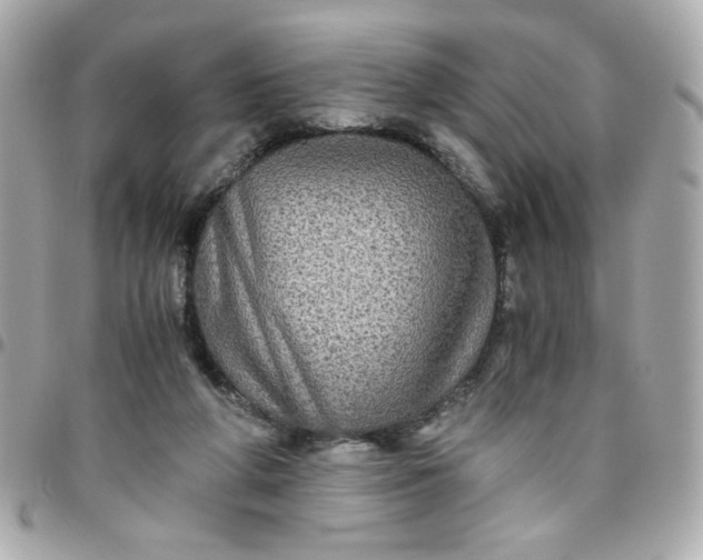 X0000096480210200802071927