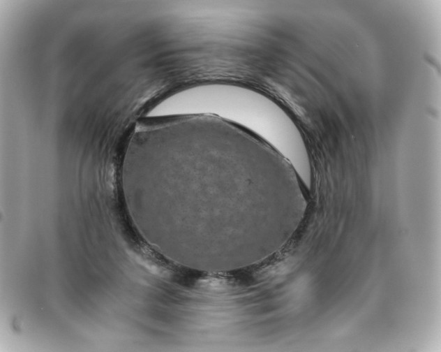 X0000096480211200802071927