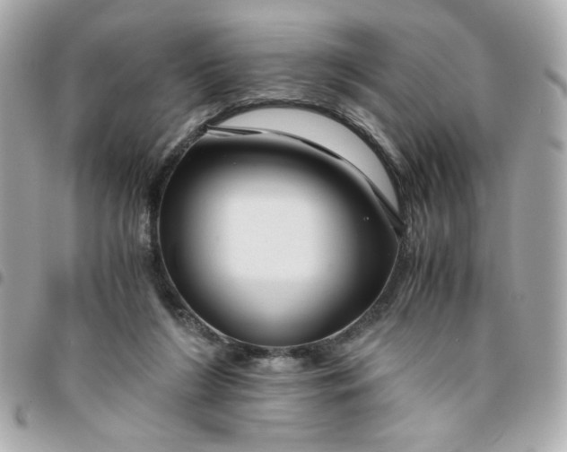 X0000096480212200802071927