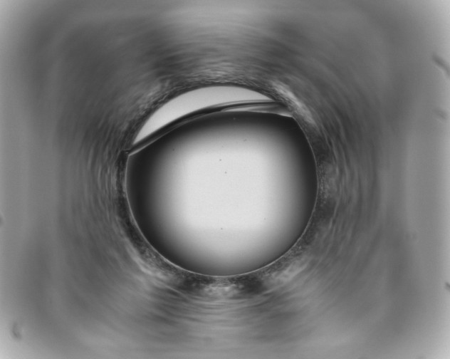 X0000096480213200802071927