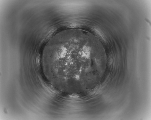 X0000096480214200802071927