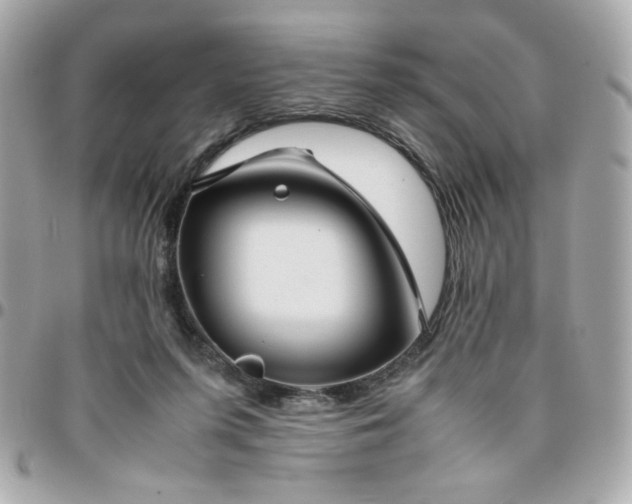 X0000096480215200802071927